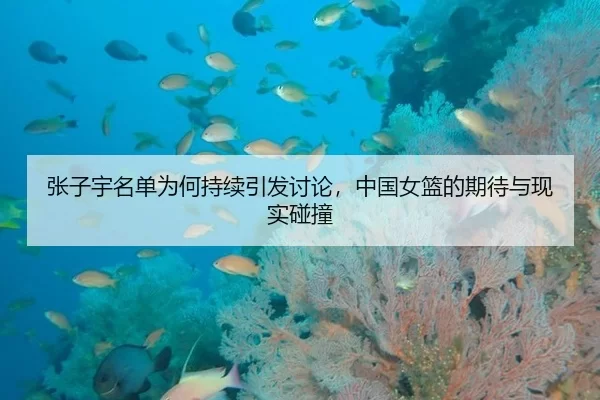 张子宇名单为何持续引发讨论，中国女篮的期待与现实碰撞 - leyu